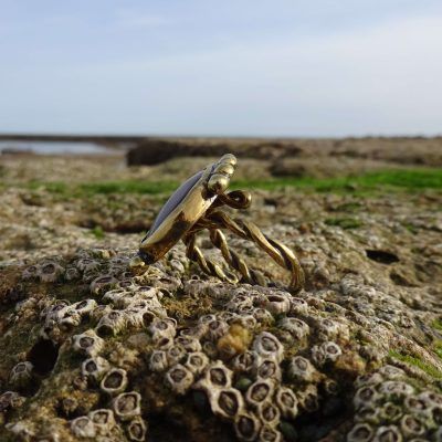 Anillo dorado con ojo de buey